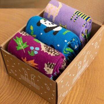 Sockenbox: Panda, Igel, Katze